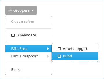 Gruppera passen efter användare eller fält på passet eller tidrapporten.