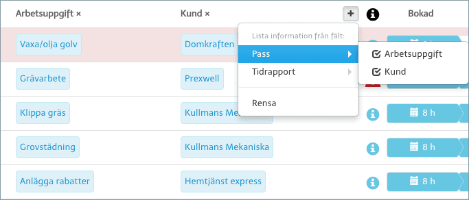 Visa information från pass och tidrapporter i passlistan.