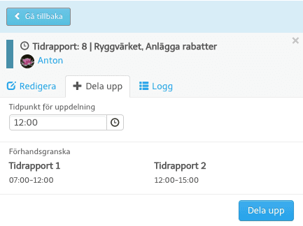 Dela upp tidrapporter